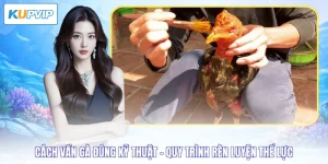 cách vần gà đúng kỹ thuật